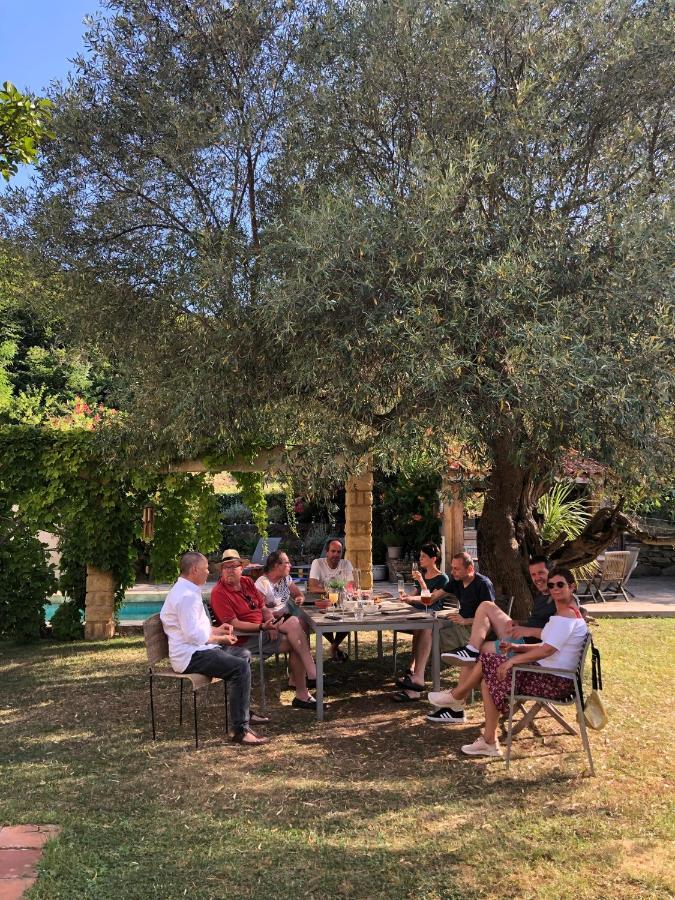 Villa Bonheur Vallespir Ceret Exterior photo